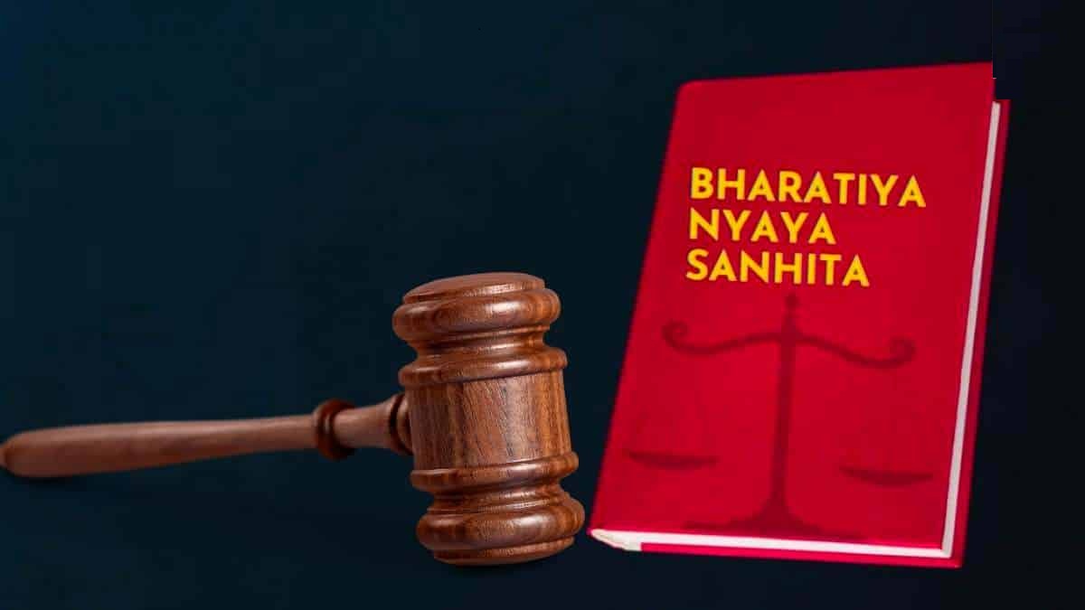 Lawyer at work